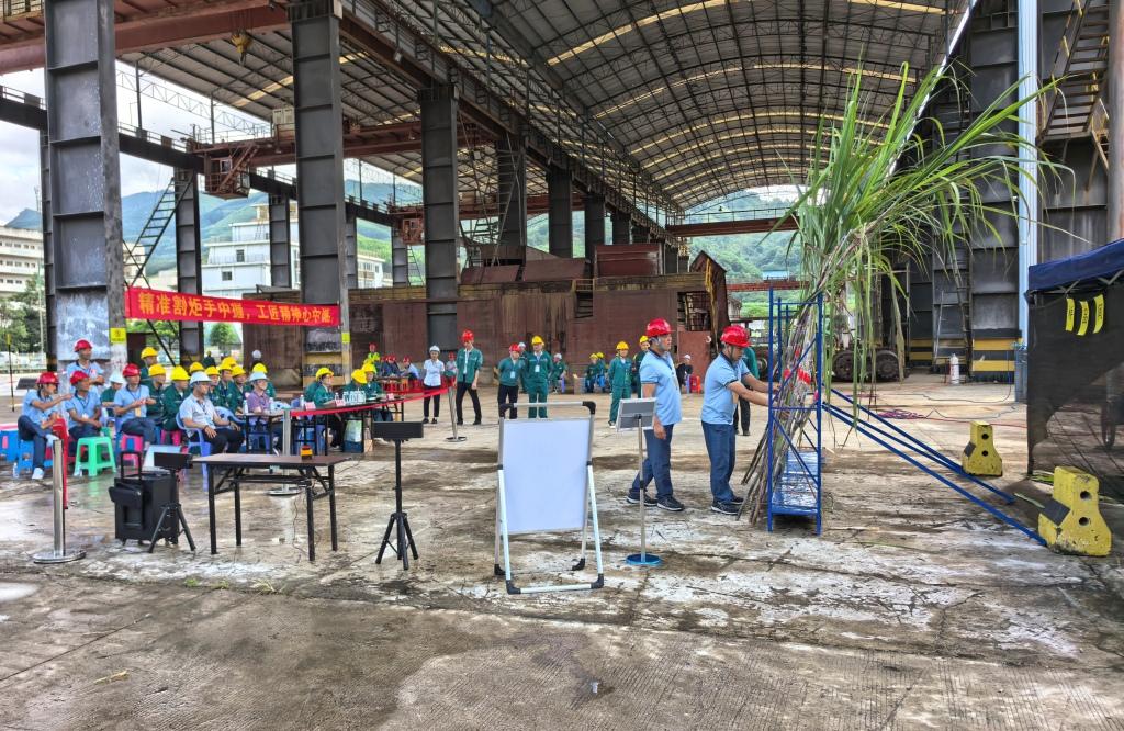 甘蔗品種鑒別項目 .jpg 甘蔗品種鑒別項目 .jpg